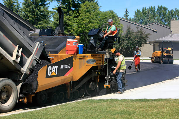 Best Local Driveway Pavers  in Mora, MN